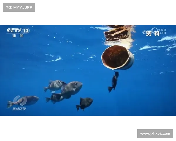 探索冰鳞蓝鱼栖息地保护与生态恢复的有效途径和措施 探索冰鳞蓝鱼栖息地保护与生态恢复的有效途径和措施