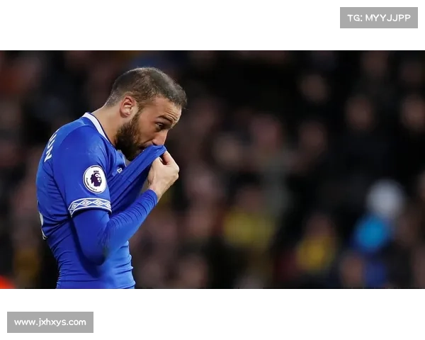 加的夫城足球俱乐部的辉煌与挑战 联赛历史全景回顾