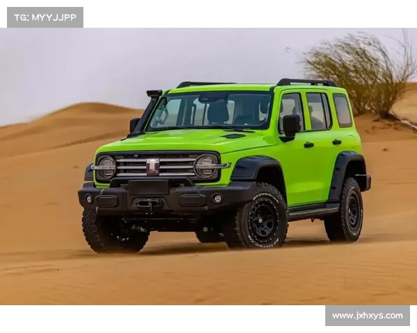 揭开纳英戈兰长期遭弃用背后的真相与球队决策内幕